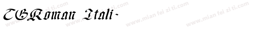 TGRoman Itali字体转换